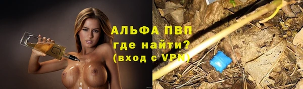 крисы Белокуриха