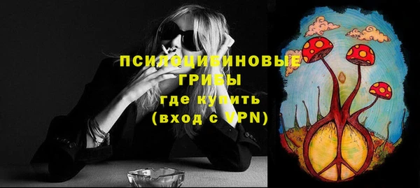 крисы Белокуриха