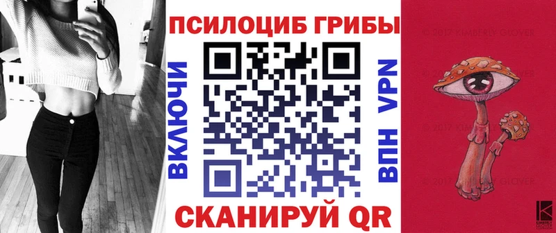 Псилоцибиновые грибы Psilocybe  Ленск 